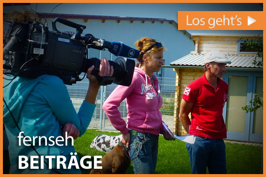 dl_fernsehbeitraege