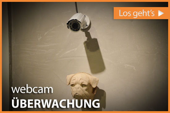 dl_webcam