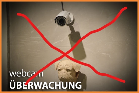 Dog Lodge Hundehotel - Webcam Überwachung