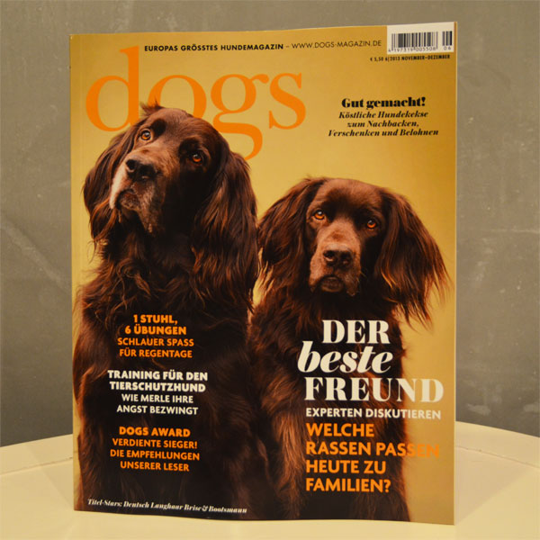 dogs-magazin